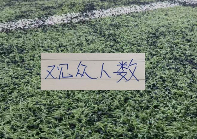 第22轮现场观众!重庆跟海港比赛有5万多人