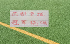 联赛还剩6轮!成都蓉城有可能在没遇到卫冕冠军海港前 提前夺冠吗