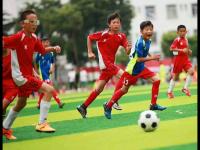 大连英博VS辽宁铁人直播_大连英博VS辽宁铁人无插件免费高清直播入口_大连英博VS辽宁铁人直播影院模式